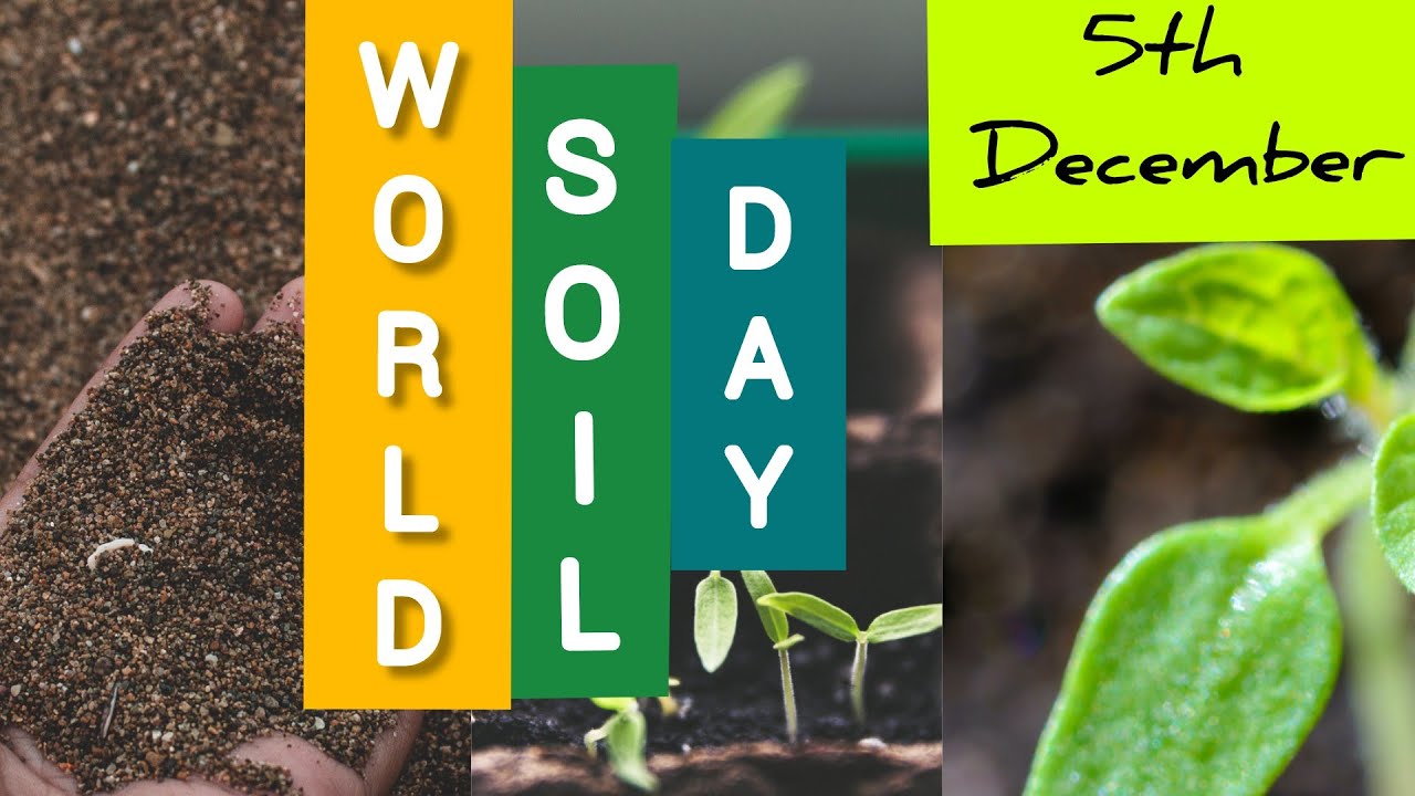 soil day 5th December