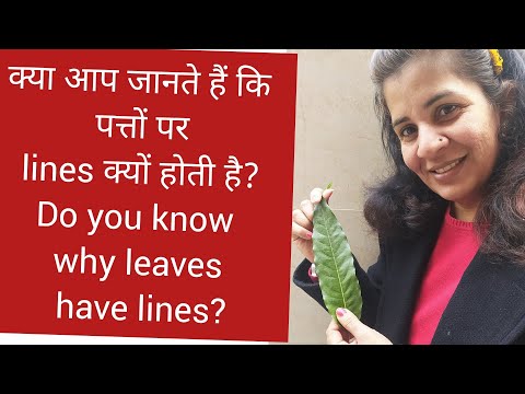 lines on leave