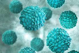 norovirus cases in US United States